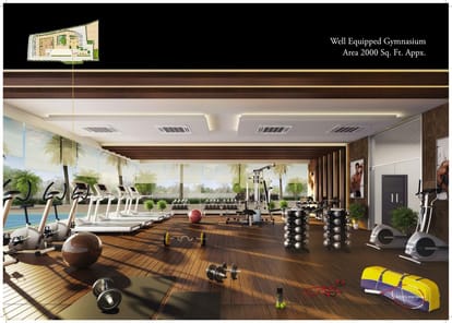 Joy Legend B Brochure Image 13
