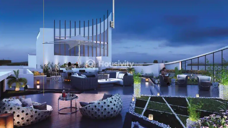 Joy Legend B Image 7