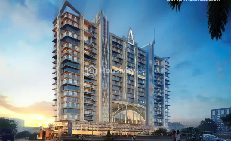 Joy Legend B Image 2