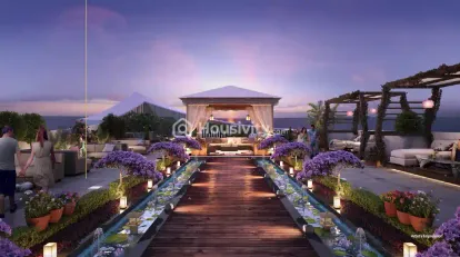 Joy Legend B Image 8