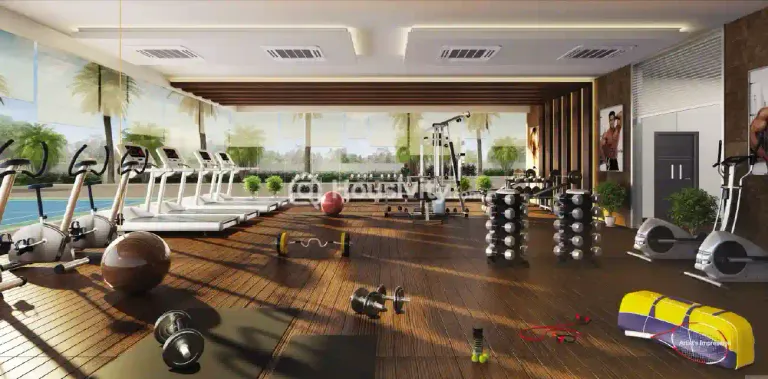 Joy Legend B Image 11