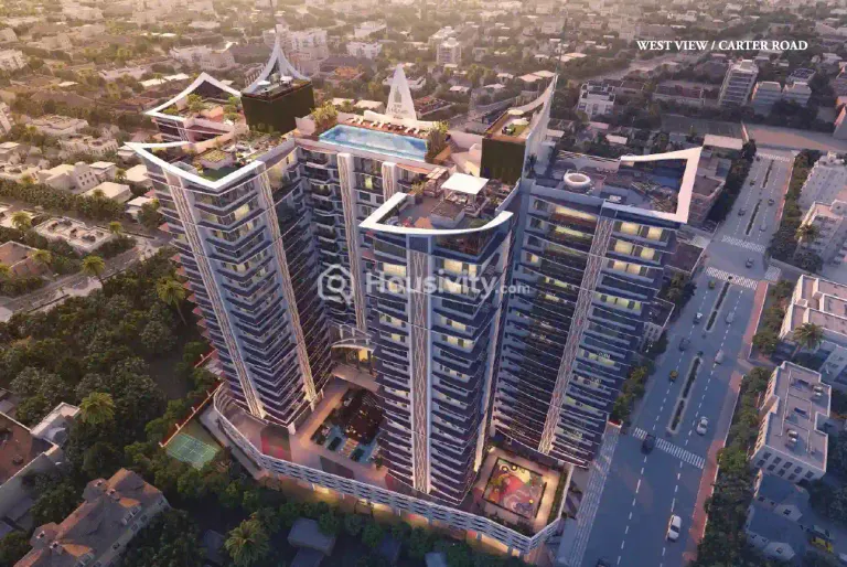 Joy Legend B Image 1