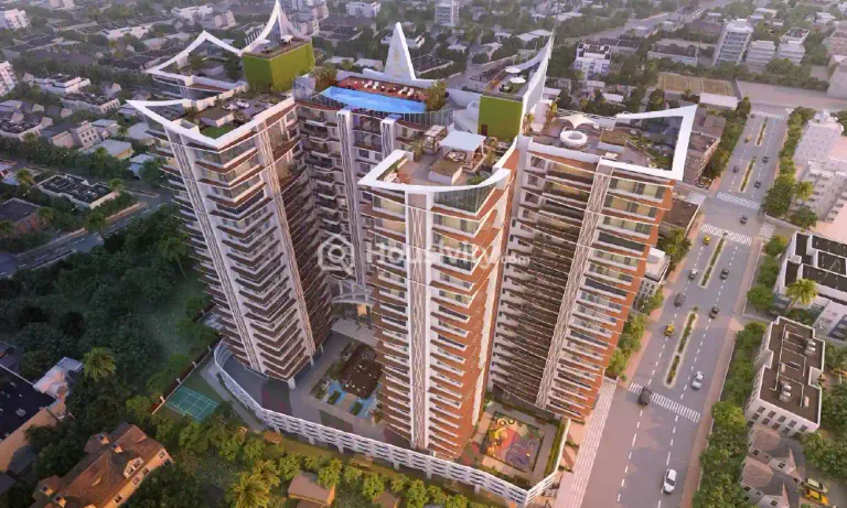 Joy Legend B Image 4