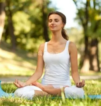 Menlo Joywoods Image 6