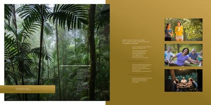 Kunal Canary Brochure Image 21
