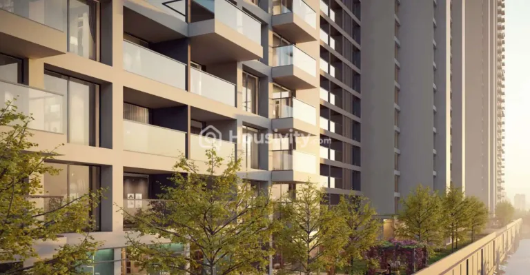 Kunal Canary Image 11