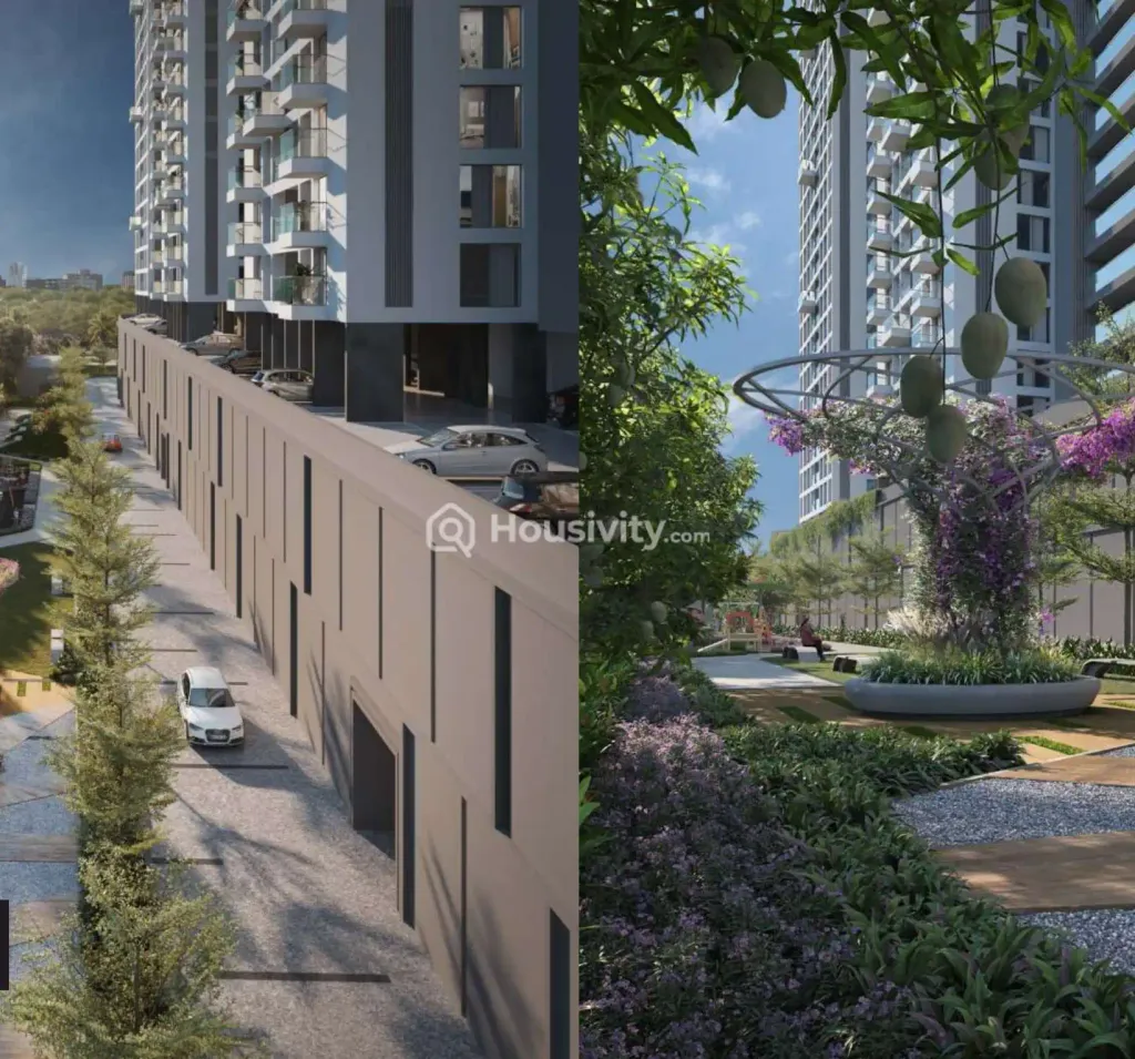 Kunal Canary Image 2