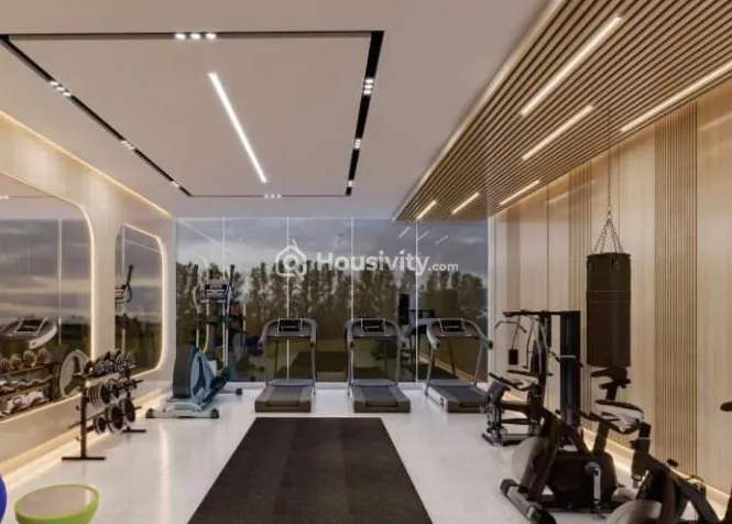 Jhamtani Ace Aster Image 7