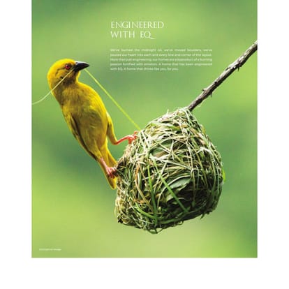 The Balmoral Hillside Brochure Image 8