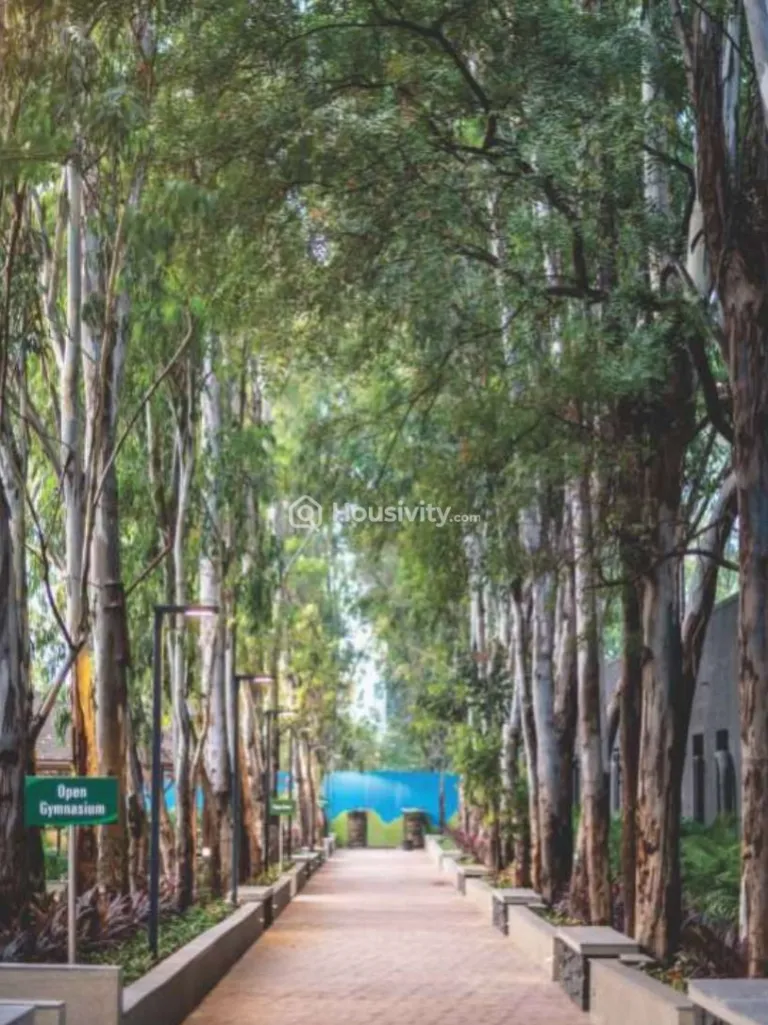 Park Landmark Image 4