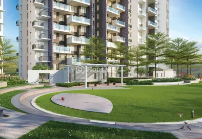 Kalpataru Jade Image 8