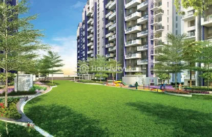 Kalpataru Jade Image 5