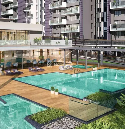 Kalpataru Jade Image 7