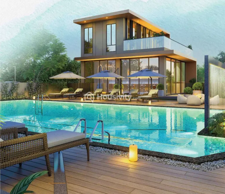 Kalpataru Blossoms Image 5