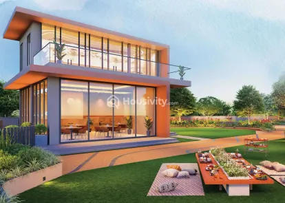 Kalpataru Blossoms Image 10