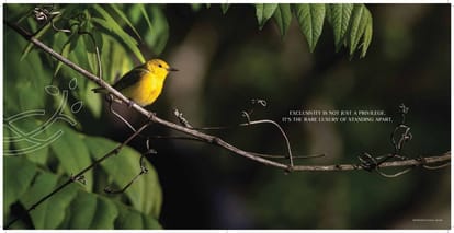 Arkade Nest Brochure Image 2