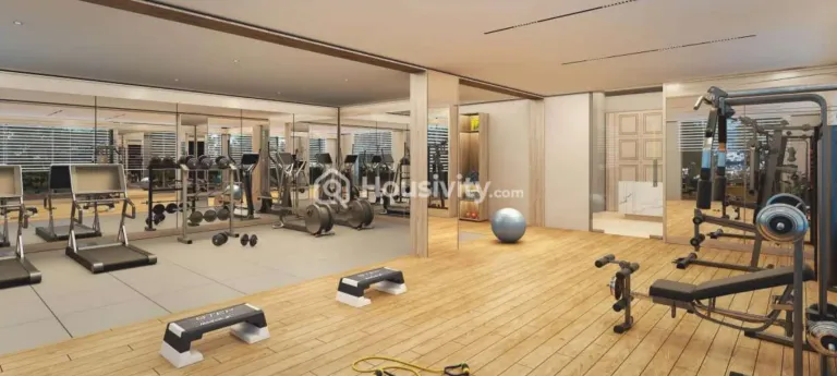 CK Elina Liva Image 5