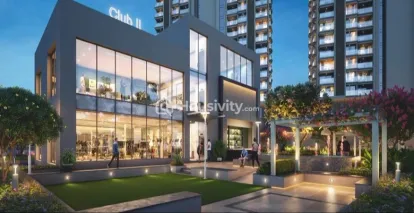 CK Elina Luxe Image 6