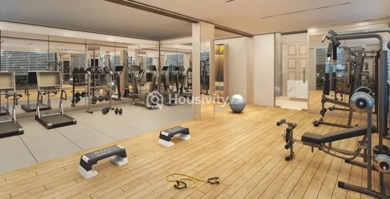 CK Elina Luxe Image 7