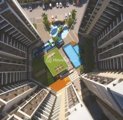 Krishna Amarillo Image 7