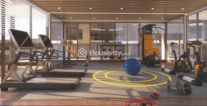 Krishna Amarillo Image 3