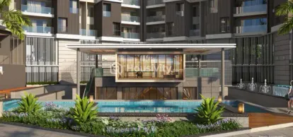 Krishna Amarillo Image 6