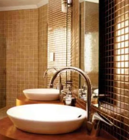 Satyam Mayfair Image 4