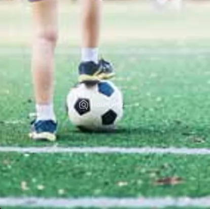 Siddhivinayak Gaurav Image 7