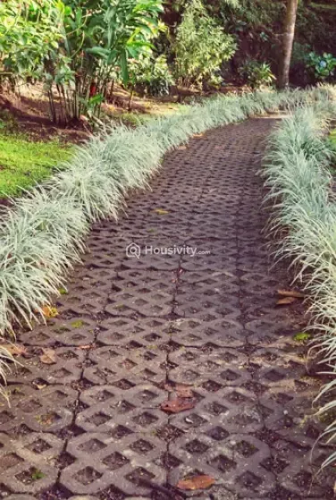 Siddhivinayak Anaya Image 5