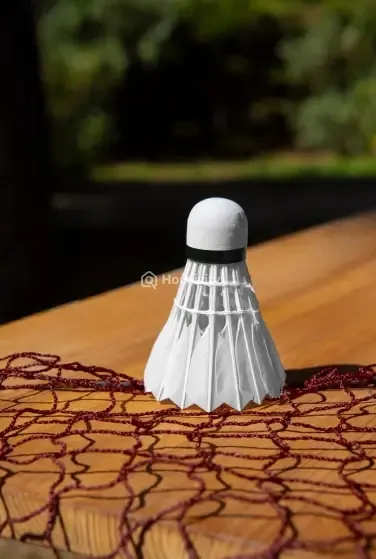 Siddhivinayak Pratima Gold Image 5