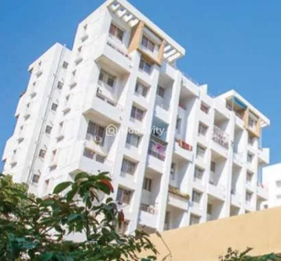 Jhala Magnus Simplicity Image 4