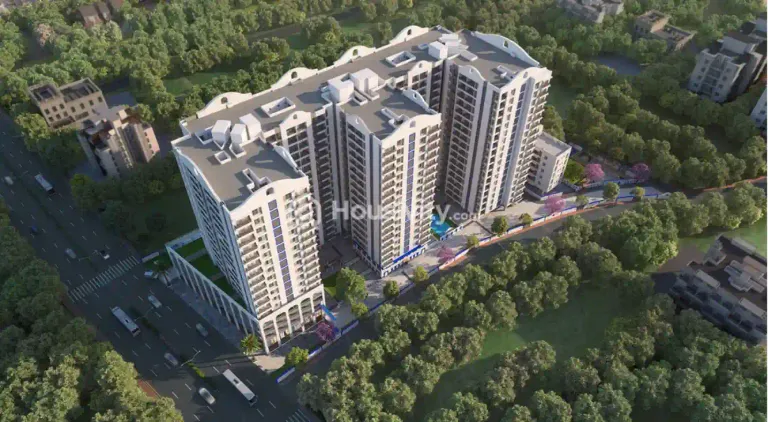 Triaa One Aretha Image 4