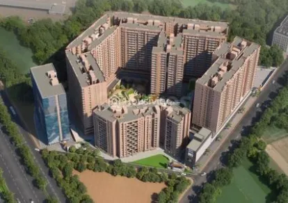 Basil Maximus Image 4