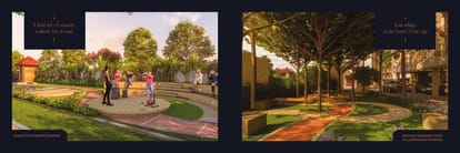 Basil Mondale Brochure Image 13