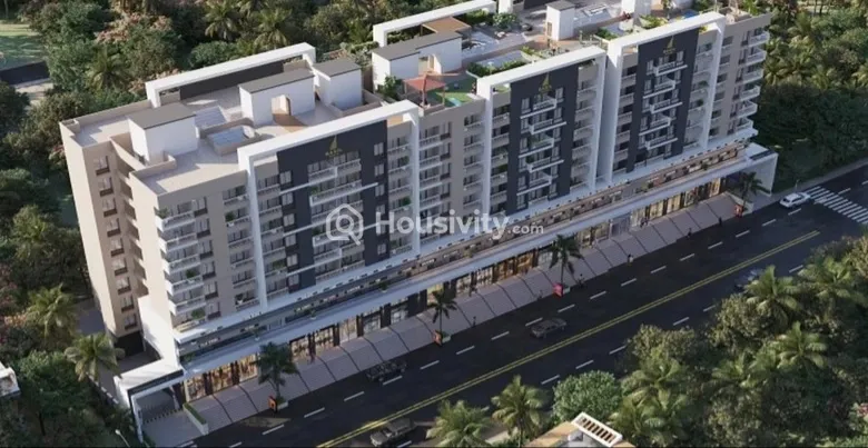 Basil Chandrakant Image 4