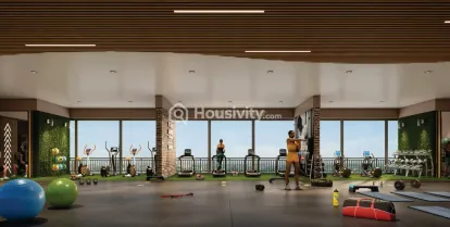 Basil Vrundavan Image 9