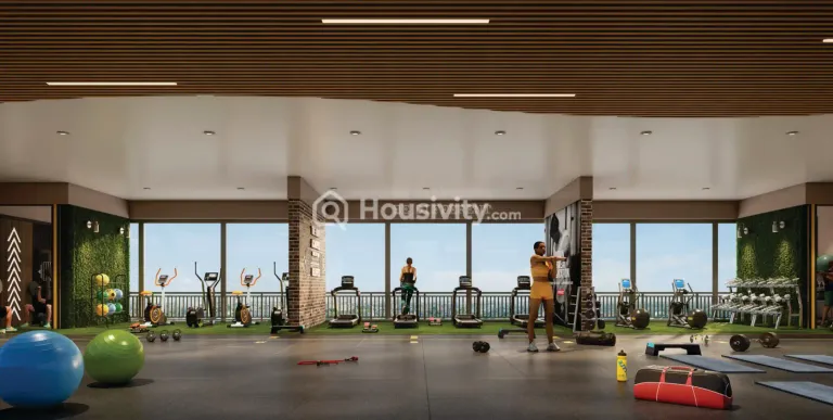 Basil Vrundavan Image 9