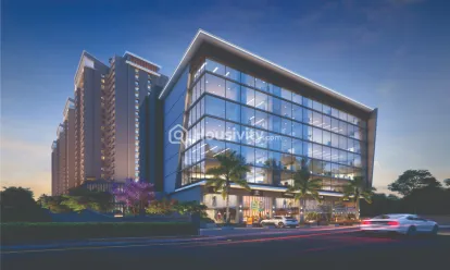 Basil Vrundavan Image 2