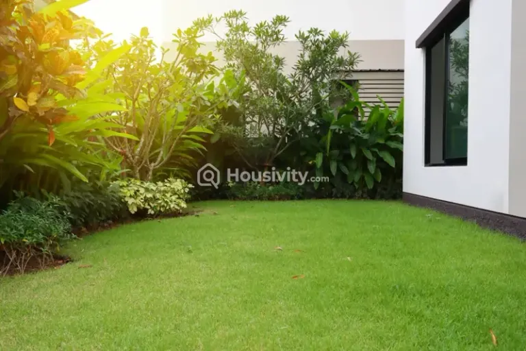 NG Nandanvan Image 13