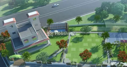 NG Palm Nest Image 1