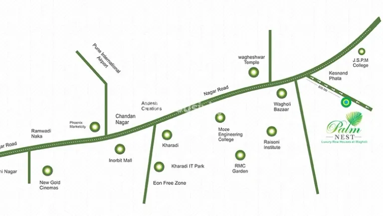 NG Palm Nest Image 7