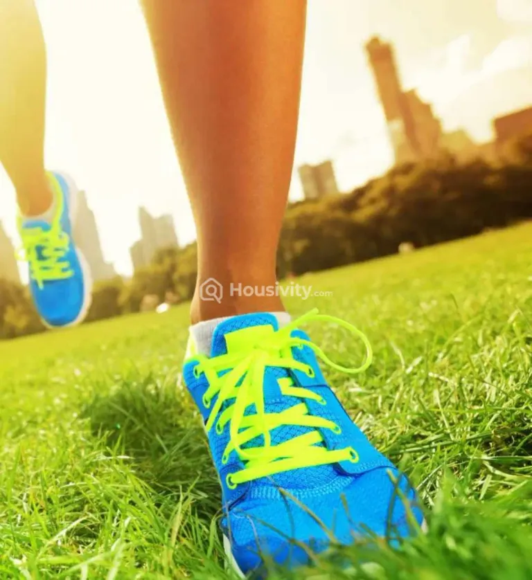 NG Palm Nest Image 4