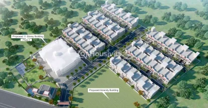 NG Palm Nest Image 3