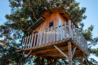 Choice Que 914 Image 8