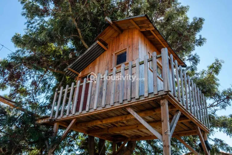 Choice Que 914 Image 8