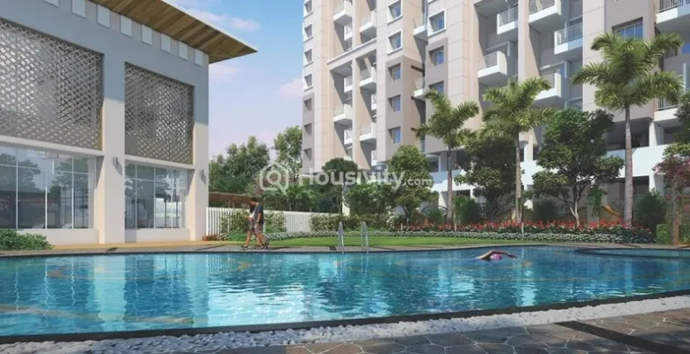 Dynamic Imperia Plus Image 6