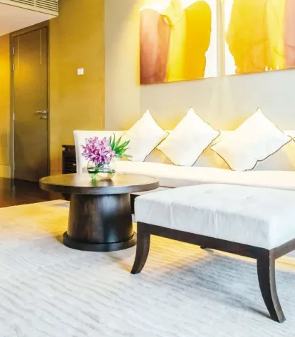 Dynamic Imperia Plus Image 4