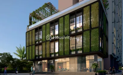 Dream Elegance Image 3