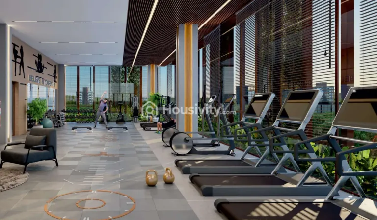 Dream Elegance Image 4