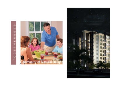 Balaji Manas Valley Brochure Image 6
